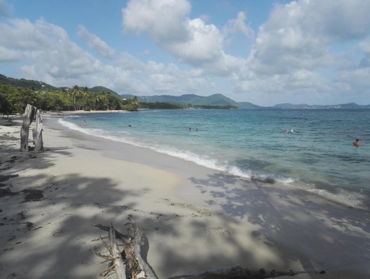 Studio - Le Ti-Colibri - Plages Et Piscine A Sainte-Luce - Martinique - Antilles Exteriör bild